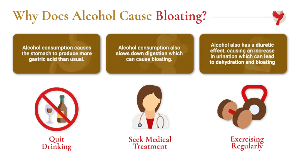 How Long Does Alcohol Bloating Last After Drinking? 