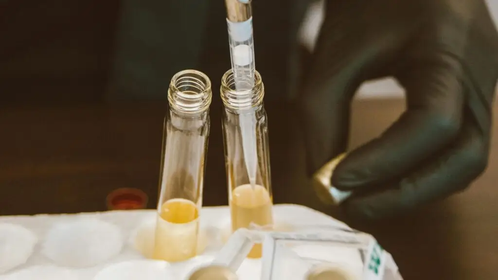 Does Marijuana Show Up in a Urine Test How Urine Screening for THC Works